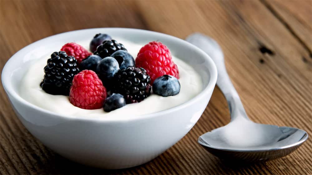 Yogurt Yogurt