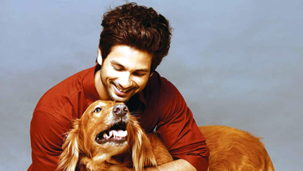 Shahid Kapoor