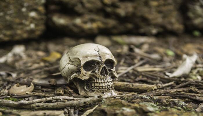 When did human cannibalism originate? Scientists find oldest evidence!