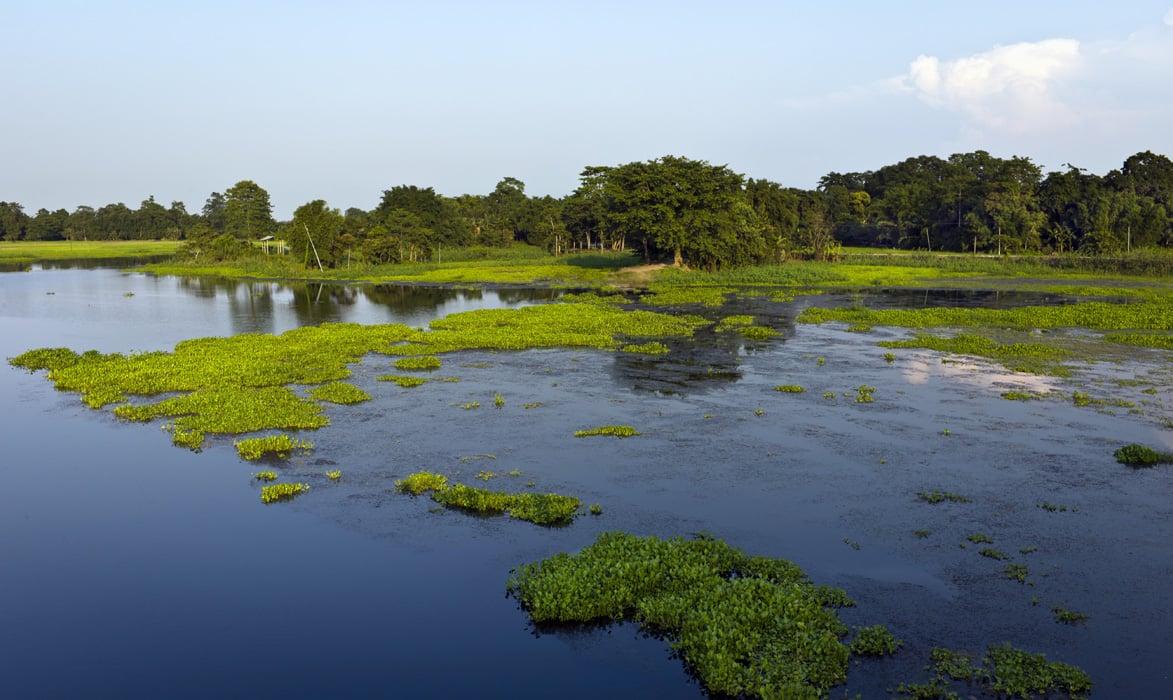 Dine in style on Majuli, world&#039;s largest river island