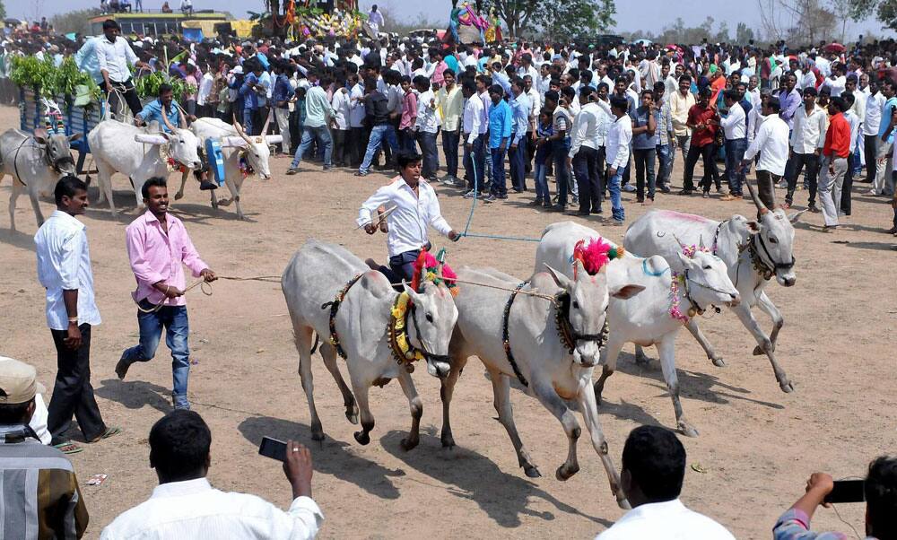 Mallaluramma's Jatra Mahotsava