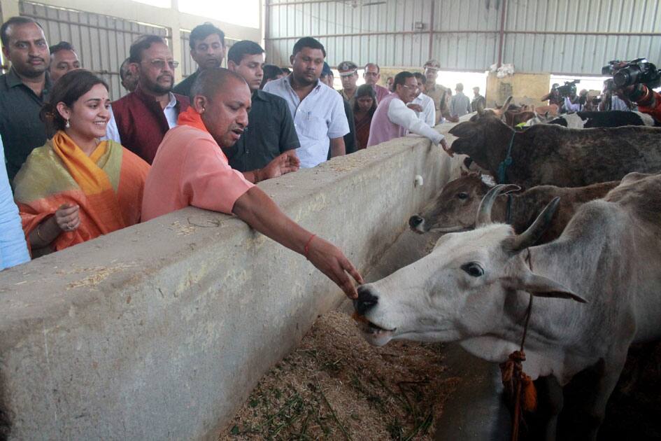 Yogi Aditiyanath visits Gaushala