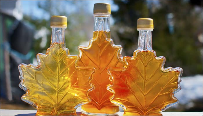 Maple syrup extracts can boost potency of antibiotics: Study Maple syrup extracts can boost potency of antibiotics: Study