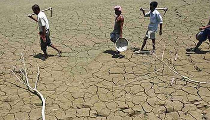 Waive loans of all drought affected farmers: Madras HC to Tamil Nadu govt