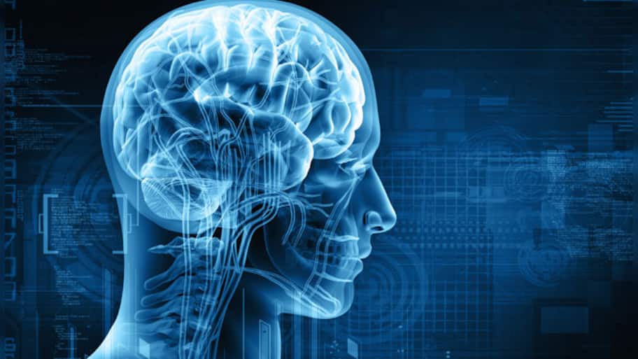 3D 'mini-brains' help understand rare developmental disorders | Health ...