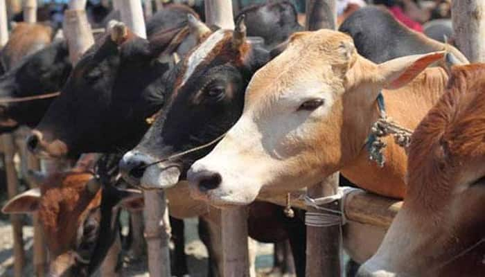 SC issues notices to Gujarat, Jharkhand, UP, Rajasthan govts on plea seeking ban on cow vigilante groups