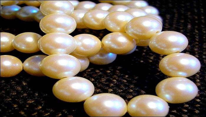 Freshwater pearls facing extinction due to pollution in UK