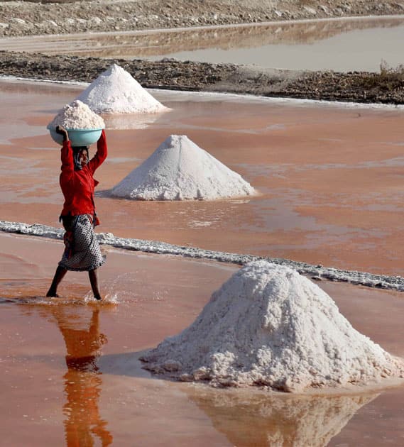 Labourer collects salt