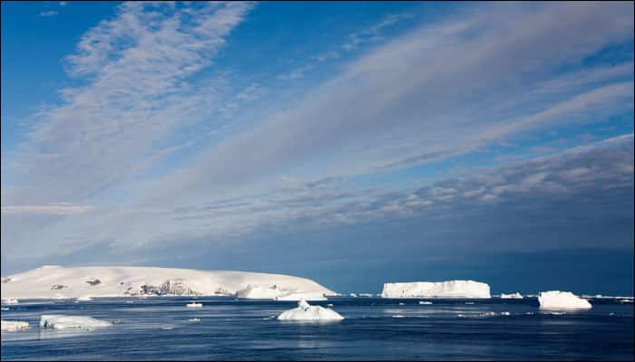 Antarctica was once covered by lush subtropical forests, say scientists