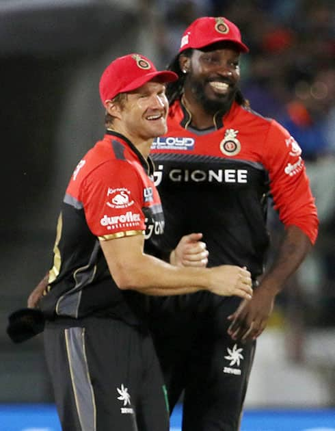 Shane Watson and Chris Gayle celebrate the wicket of  Suresh Raina