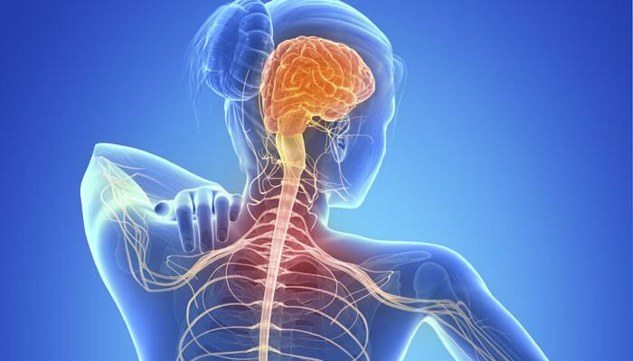 Multiple sclerosis start showing signs five years before onset of