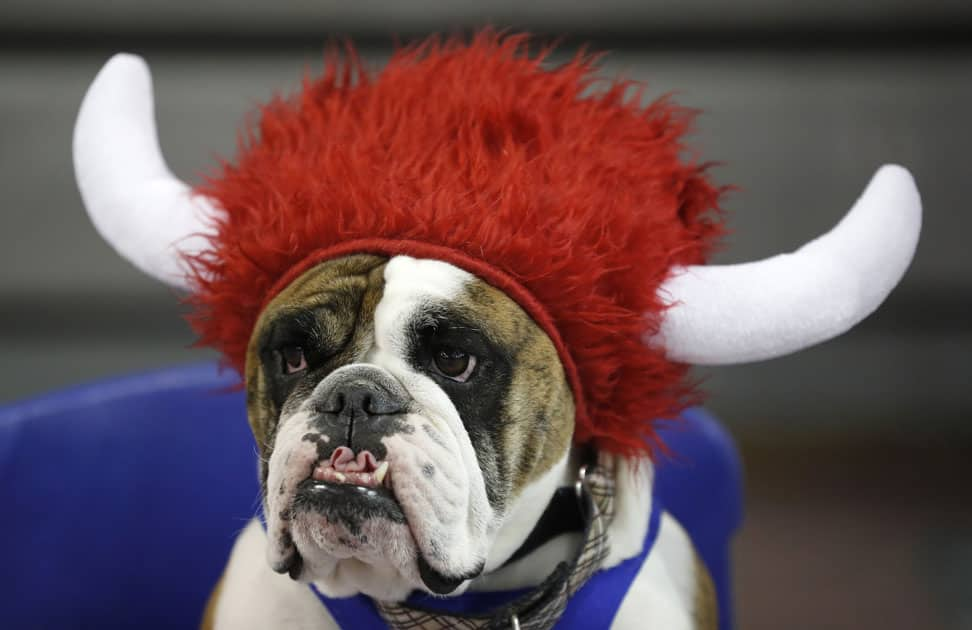 38th annual Drake Relays Beautiful Bulldog