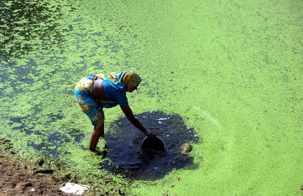 A women collects water