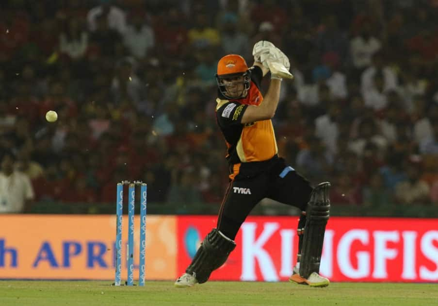 Moises Henriques in action during an IPL Match