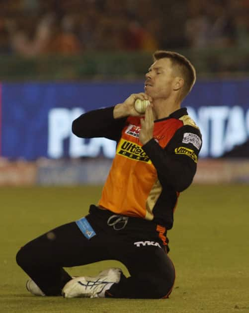 Sunrisers Hyderabad captain David Warner takes a catch