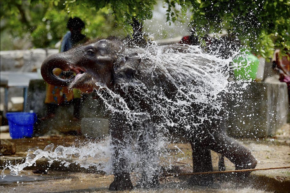 Heatwave conditions prevail across the country