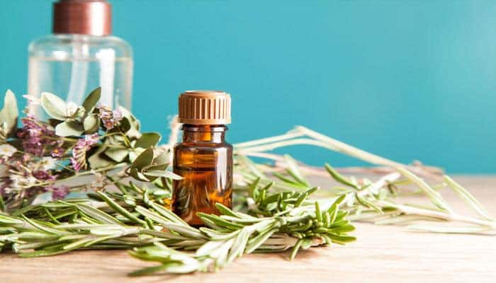 Rosemary aroma has the power to boost memory in children, says study