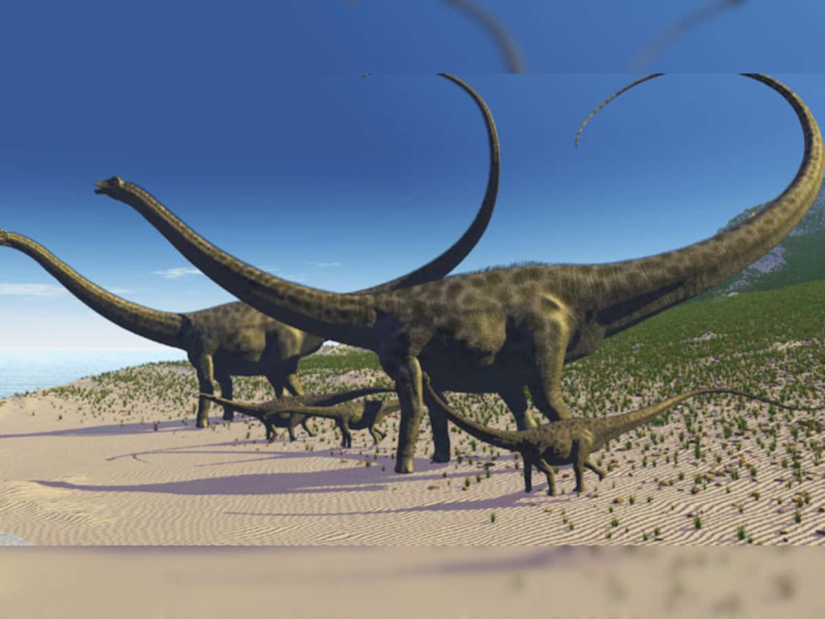brachiosaurus in a fisher's net 2001 Brachiosaurus | DinoPedia - The