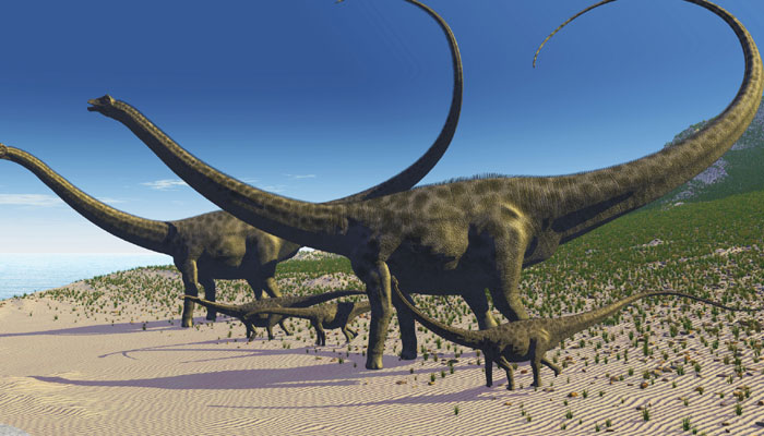 brachiosaurus in a fisher's net 2001 Brachiosaurus | DinoPedia - The