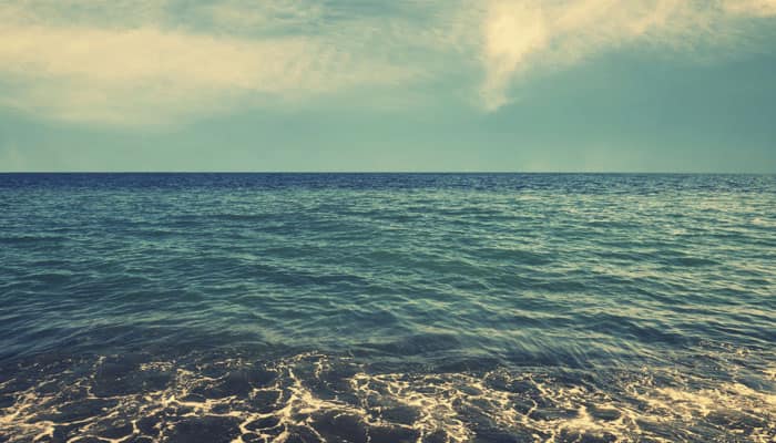 Oxygen level in world's oceans declining since 1980s
