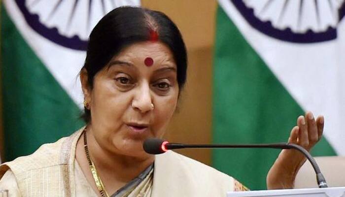 EAM Sushma Swaraj meets Dutch Foreign Minister