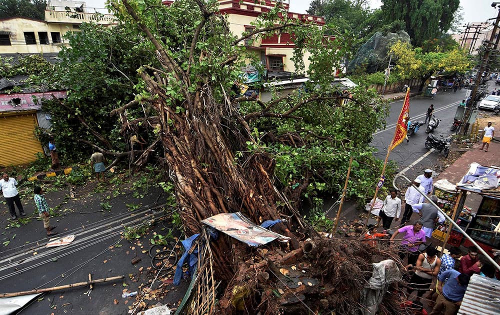 An uprooted tree blocks a road following a heavy wind storm in Patna