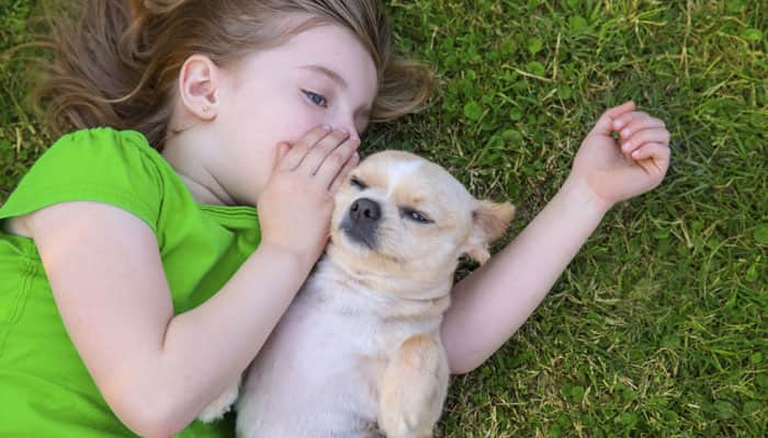 Having a dog may help reduce stress in children, says study