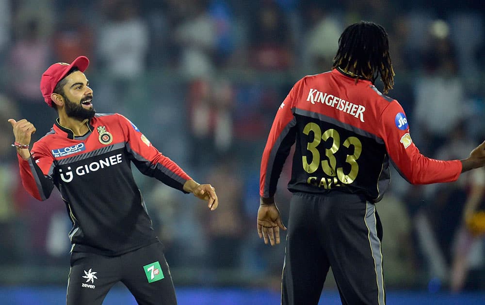 Virat Kolhli with teammates Christ Gayle celebrates their win over Delhi Daredevils Virat Kolhli with teammates Christ Gayle celebrates their win over Delhi Daredevils