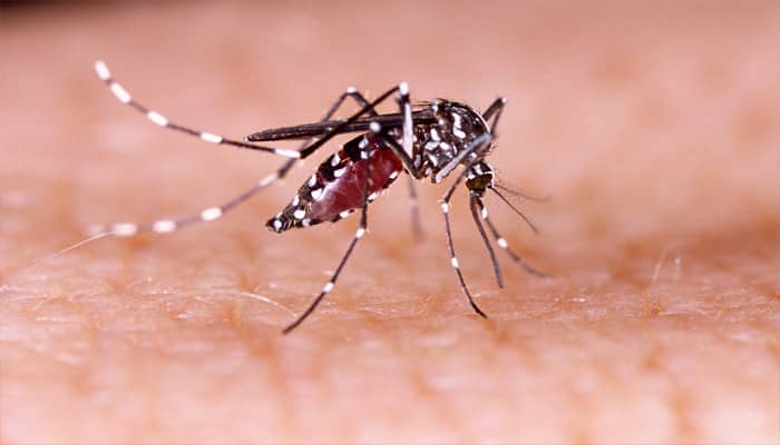 Thiruvananthapuram sees alarming rise in dengue cases