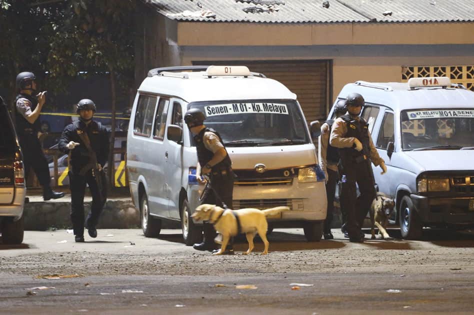 Police and bomb squad sniffer dogs inspect the site of an explosion Police and bomb squad sniffer dogs inspect the site of an explosion