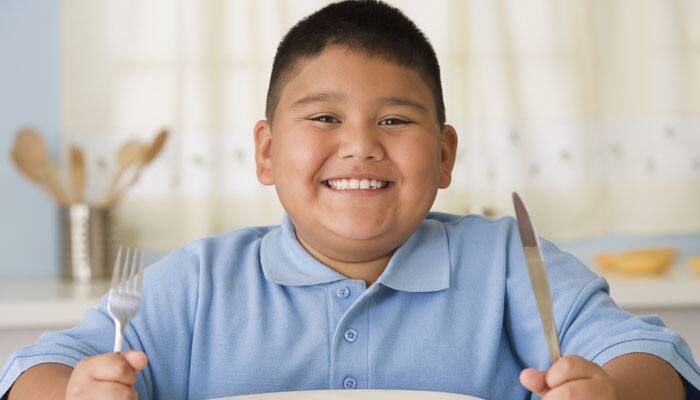 Boys exposed to high-fat diet in childhood may experience junk food obsession