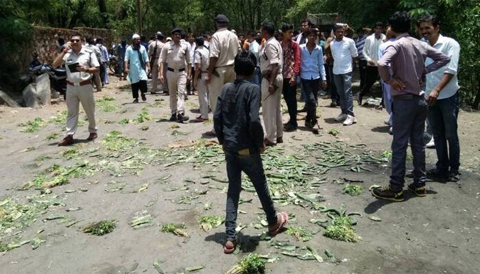 Milk, vegetable shortage hits Madhya Pradesh due to farmers agitation