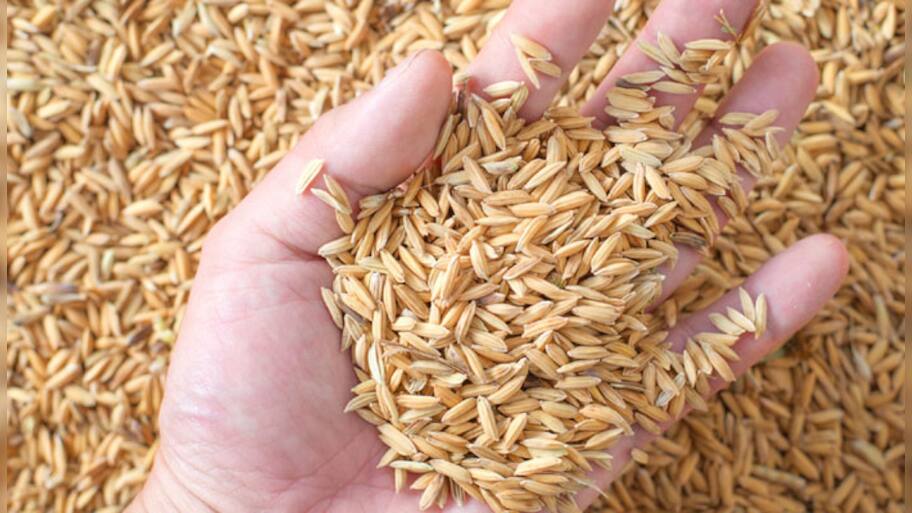 A single serving of rice bran may provide essential nutrition! | Health ...