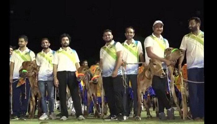 Cricket tournament presents &#039;cow&#039; as prize instead of trophy in Gujarat