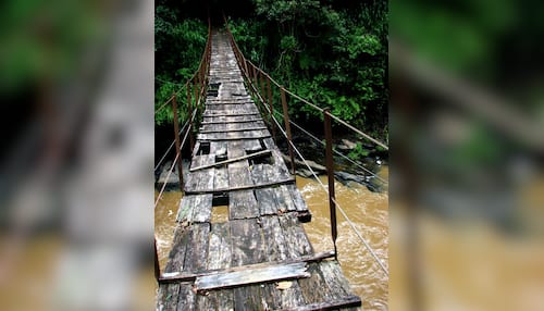 Scariest Rope Bridges In The World, News