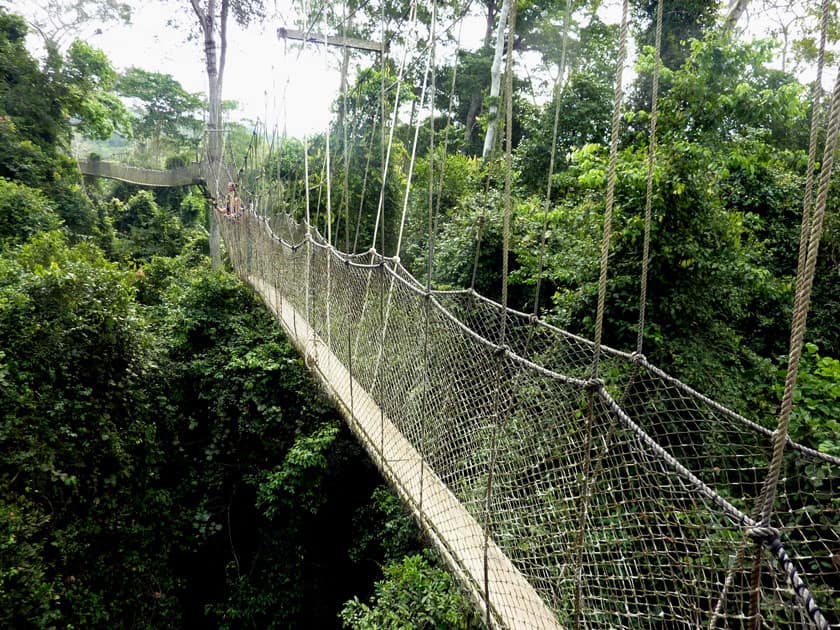 Kakum National Park Canopy Walkway, Ghana