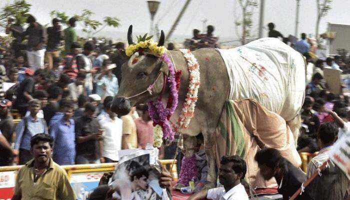 Govt open to suggestions on cattle slaughter notification, not viewing it as prestige issue: Union minister Harsh Vardhan