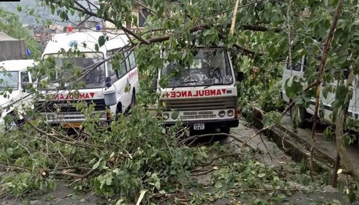 Himachal Pradesh: Trees uprooted, vehicles damaged in heavy rain