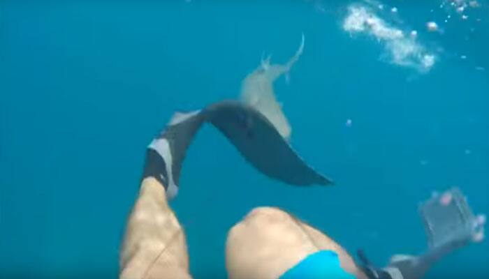 Man attacked by 8-foot-long reef shark while fishing in Florida