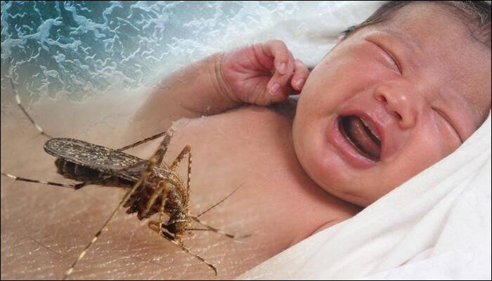 Zika affects 5% of babies with confirmed infections: US CDC