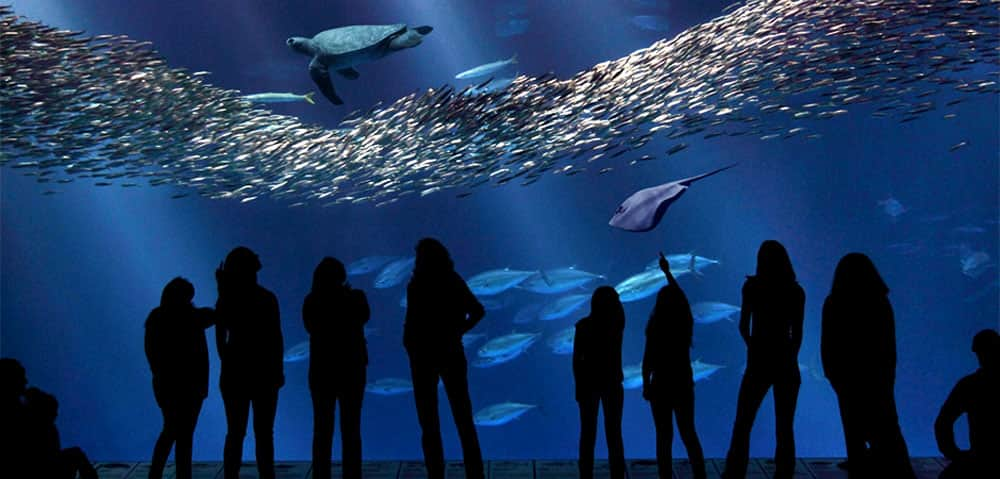 Monterey Bay Aquarium, Monterey, California