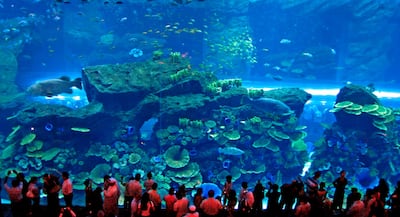 Dubai Mall Aquarium, Dubai