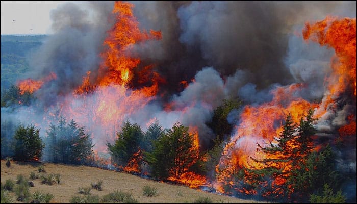 &#039;Smoke from wildfires may be worse for climate than thought&#039;