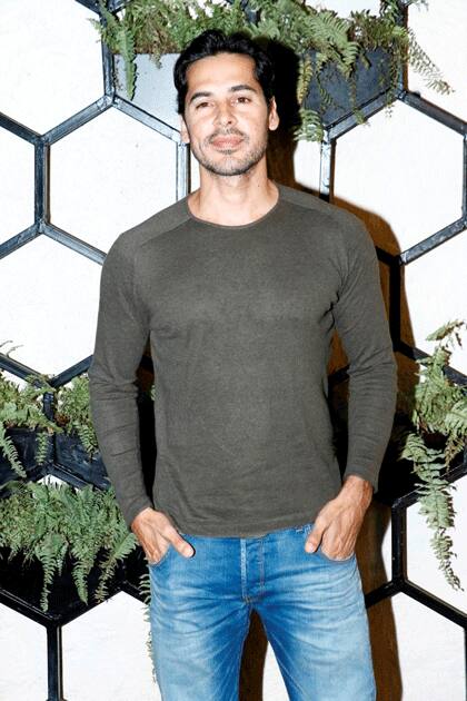 Dino Morea