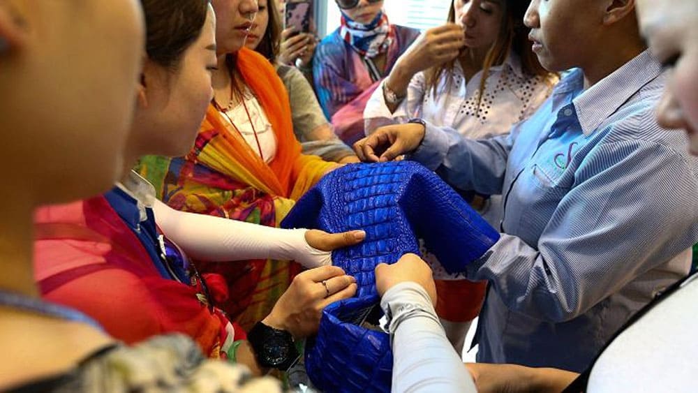 Chinese tourists touch a dyed crocodile skin