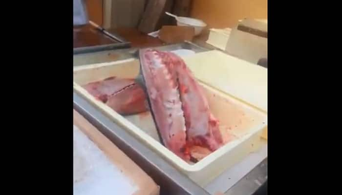 Unbelievable! Tuna fish skinned, cut and sliced but still &#039;alive&#039; - WATCH