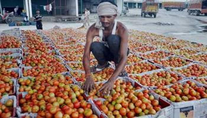 Indore: Vendors deploy armed guards to protect tomatoes