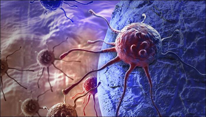 New drug may inhibit cancer cell growth