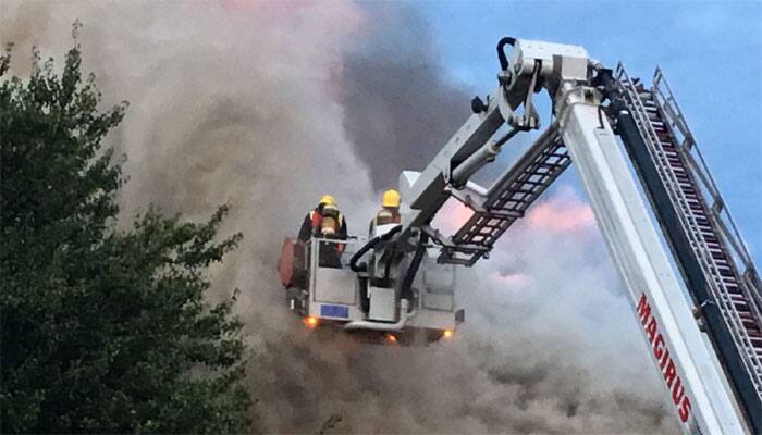 UK firefighters feel heat over piglet BBQ