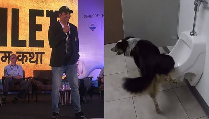 &#039;Toilet Ek Prem Katha&#039;: THIS dog&#039;s bathroom manners will leave you speechless - Watch